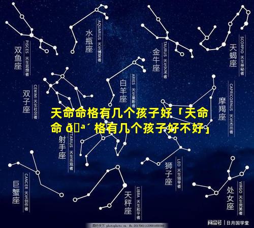天命命格有几个孩子好「天命命 🪴 格有几个孩子好不好」